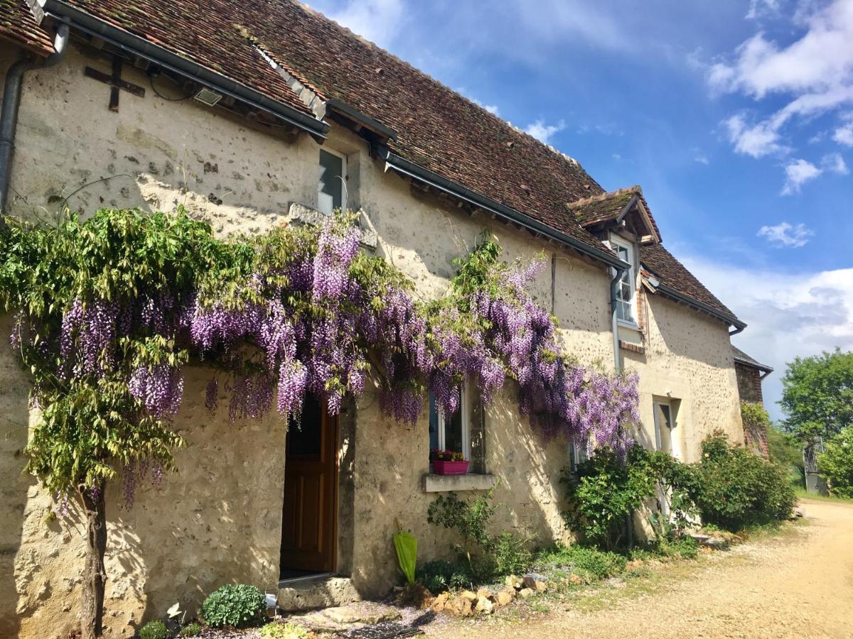 Le Grand Coudreau Bed & Breakfast Nazelles-Negron Luaran gambar